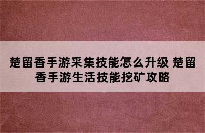 楚留香手游采集技能怎么升级 楚留香手游生活技能挖矿攻略